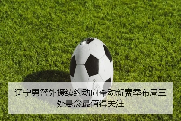 辽宁男篮外援续约动向牵动新赛季布局三处悬念最值得关注
