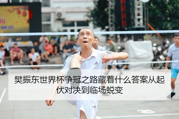 樊振东世界杯争冠之路藏着什么答案从起伏对决到临场蜕变
